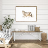 Wolf in its Natural Habitat mood picture