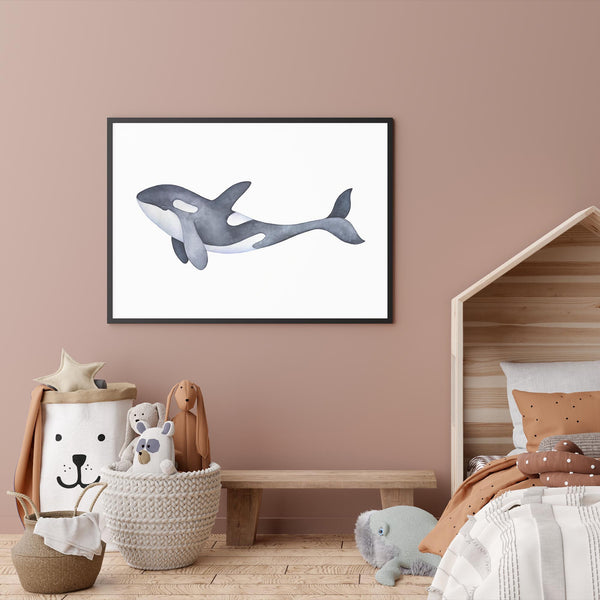 Marine Orca Illustration mood picture