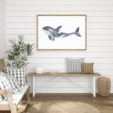 Marine Orca Illustration mood picture