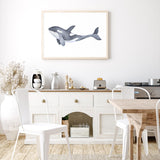 Marine Orca Illustration mood picture