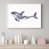 Marine Orca Illustration mood picture