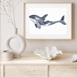 Marine Orca Illustration mood picture