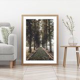 Autumn in Oslo mood picture