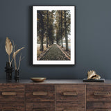 Autumn in Oslo mood picture