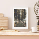 Autumn in Oslo mood picture