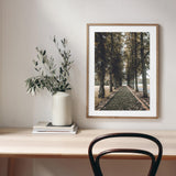 Autumn in Oslo mood picture