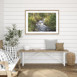Little River in the Forest mood picture