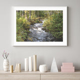 Little River in the Forest mood picture