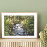 Little River in the Forest mood picture