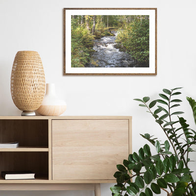 Little River in the Forest mood picture