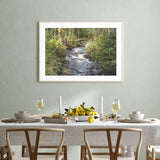 Little River in the Forest mood picture