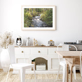 Little River in the Forest mood picture