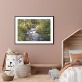 Little River in the Forest mood picture