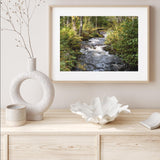 Little River in the Forest mood picture
