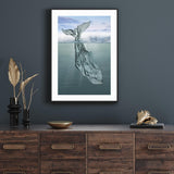 Plastic Whale mood picture