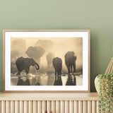 Elephants At Sunset mood picture