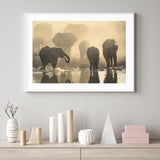 Elephants At Sunset mood picture