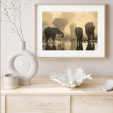 Elephants At Sunset mood picture