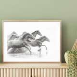 Herd of Wild Horses mood picture