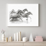 Herd of Wild Horses mood picture