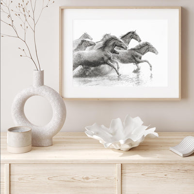 Herd of Wild Horses mood picture