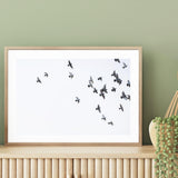 Bird Flock Flying Away mood picture