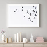 Bird Flock Flying Away mood picture