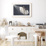Still of Ballerina II mood picture