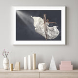 Still of Ballerina II mood picture