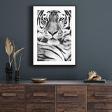 Portrait of Tiger I mood picture