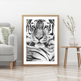 Portrait of Tiger I mood picture