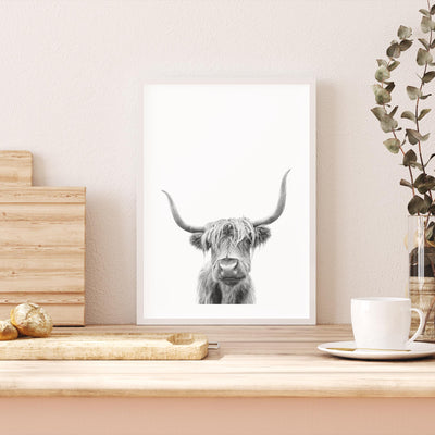 Highland Cow mood picture