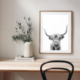 Highland Cow mood picture
