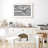 Driftwood on the Beach mood picture