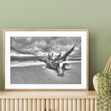Driftwood on the Beach mood picture