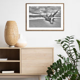 Driftwood on the Beach mood picture
