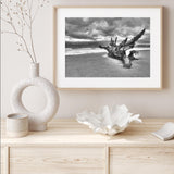 Driftwood on the Beach mood picture