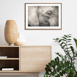 Elephant Remembers mood picture