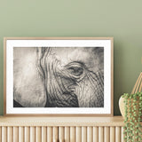 Elephant Remembers mood picture