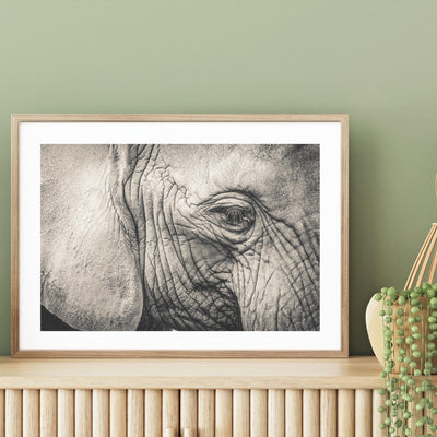 Elephant Remembers mood picture