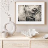 Elephant Remembers mood picture