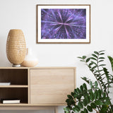 Purple Fractals mood picture