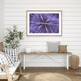 Purple Fractals mood picture