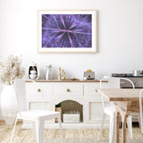 Purple Fractals mood picture