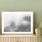 Winter Fog mood picture