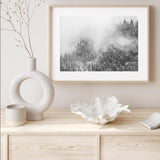 Winter Fog mood picture
