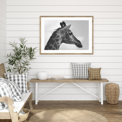 Portrait of Giraffe mood picture