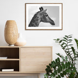 Portrait of Giraffe mood picture