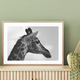 Portrait of Giraffe mood picture