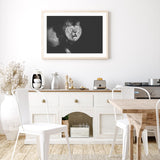 Lion Walking into Frame mood picture